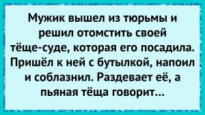 Как зять вернулся с сюрпризом!