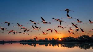 Вот и осень и дождь в окно стучится Владимир Асмолов