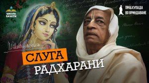 Шрила Прабхупада истинный слуга и живой носитель милости Шримати Радхарани. Мукунда Мурари прабху