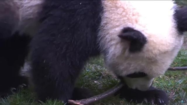 Habitats_ What Is A Habitat