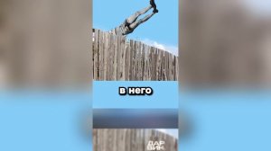 Кто-то заметит скрытую шутку)