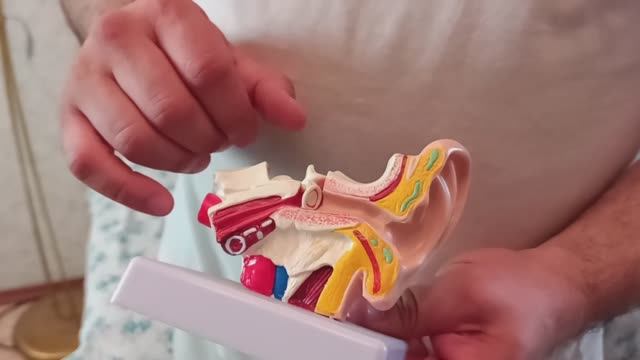 Как мануально подправить уши. Разбираем нюансы. Обучение Мануальной терапии у Олега Гудвина. смотреть онлайн