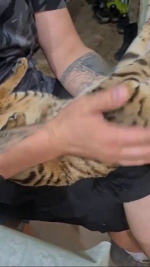 Хозяину, она не сопротивляется😄