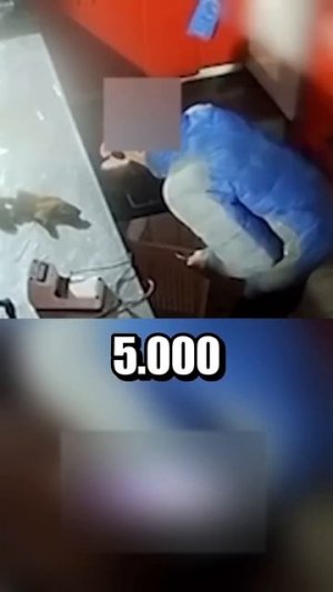 Голодные времена