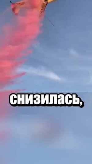 Гендер-пати пошло не по плану