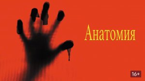 Анатомия (краткий пересказ фильма. МУВИКОТ)