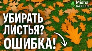 УБИРАТЬ ЛИСТЬЯ ОСЕНЬЮ? БОЛЬШАЯ ОШИБКА! #газон #осень #сад