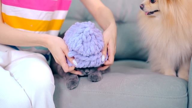 ДЕЛАЮ ШАПОЧКИ ДЛЯ КОТИКА И ПЁСИКА | БАЛАКЛАВА ДЛЯ КИСЫ И СОБАЧКИ - ОДЕЖДА ДЛЯ ПИТОМЦЕВ смотреть онлайн