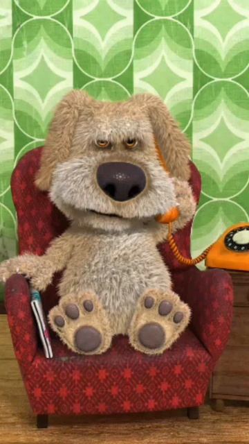 спокойный бен