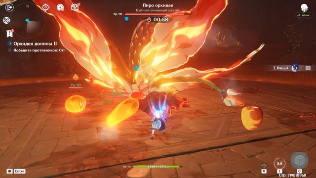 Как пройти данж Елань на Эхо фантазии. смотреть онлайн