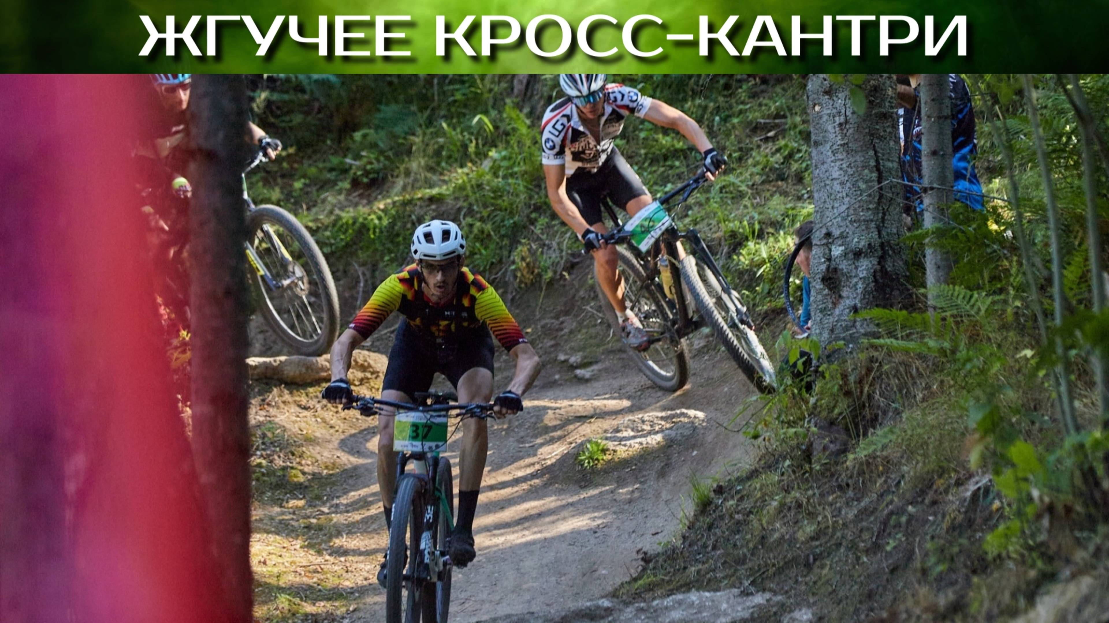 ХСО Белокуриха 2025 кросс-кантри смотреть онлайн