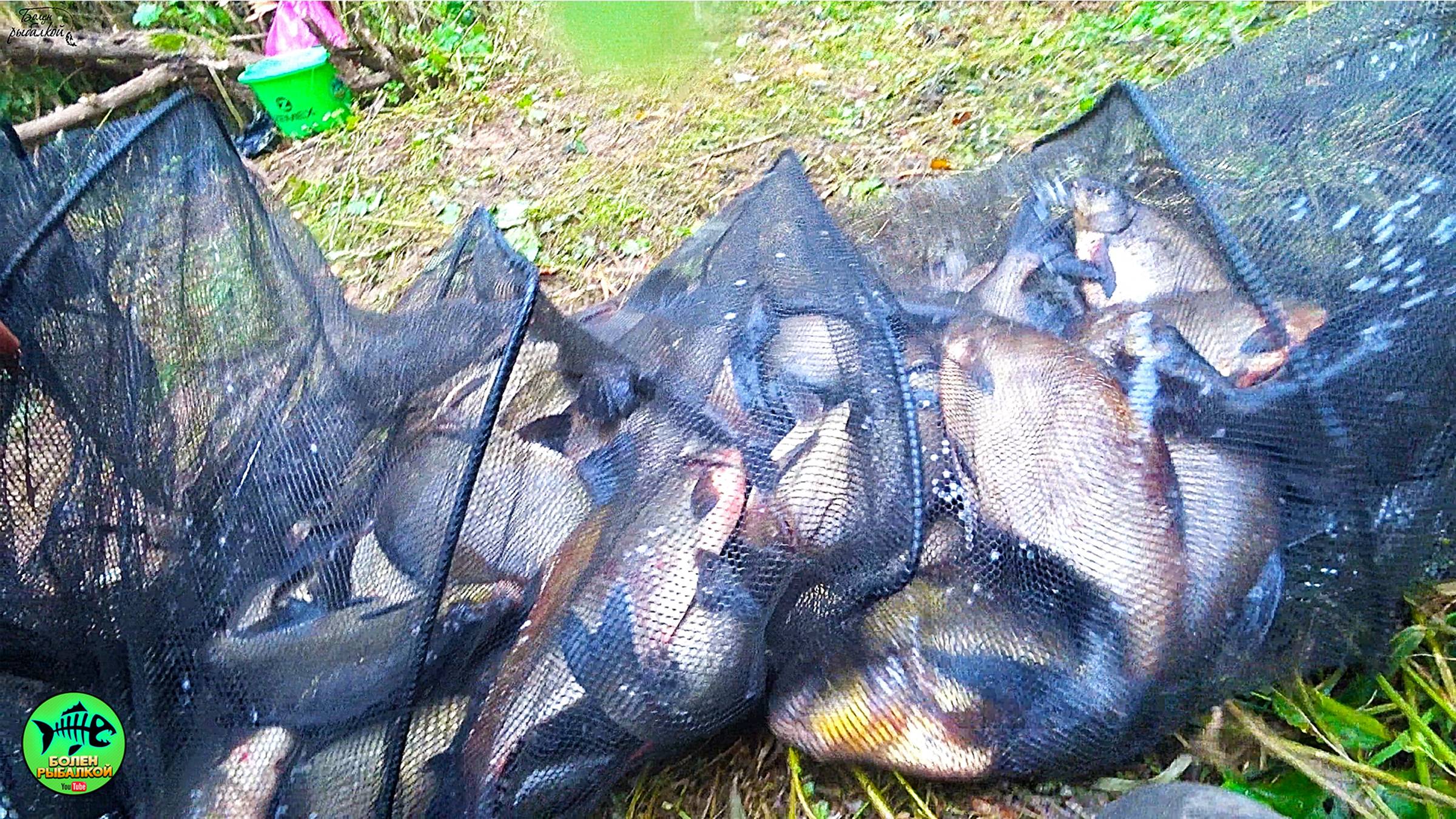 ВСЕХ ЛЕЩЕЙ СОБРАЛ В ЭТОЙ РЕКЕ! СЕКРЕТ ПРОСТОЙ. ФИДЕР против ФЛЭТА. Закормочный кораблик TROPY LINE. смотреть онлайн