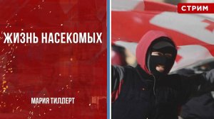 Жизнь насекомых [Мария Тиллерт. СТРИМ]