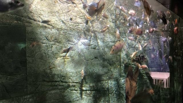 08.2025 Пенза Океанариум  (6)