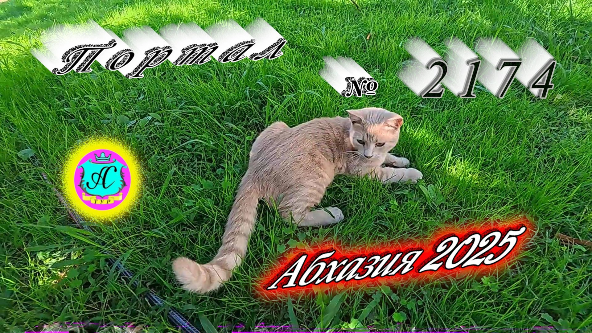 #Абхазия2025 🌴04.10.25г. ❗ Выпуск № 2174🔥вчера +27°🌡ночью +17°🌡море +21,3°🐬 смотреть онлайн