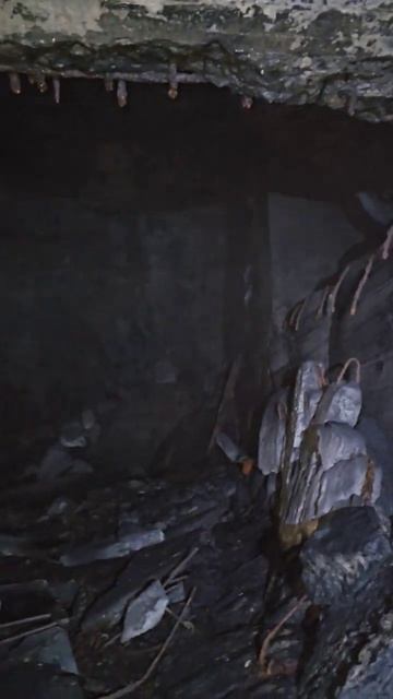 Карелия. Медвежьегорск. Гора Лысуха. Karelia. Medvezhyegorsk. Mount Lysukha смотреть онлайн