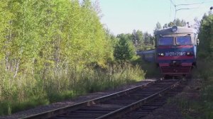 Подборка электричек, дизель-поездов и рельсовых автобусов