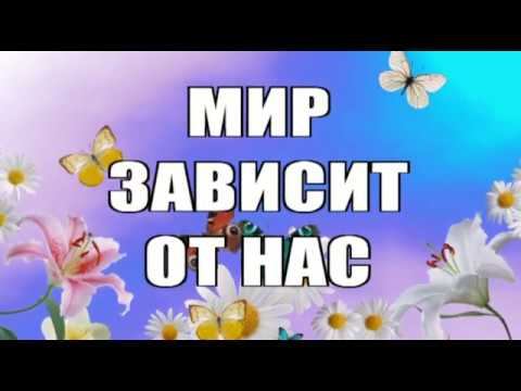 Мы вместе против террора смотреть онлайн