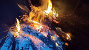 Рыбалка на острове с ночёвкой. Отличный поход и еда на костре.