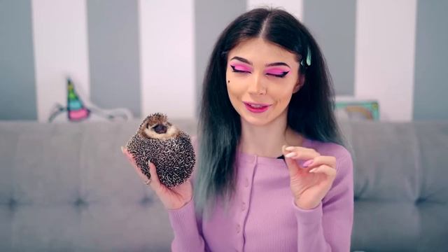 10 ФАКТОВ О КАРЛИКОВОМ АФРИКАНСКОМ ЁЖИКЕ БРУНО смотреть онлайн