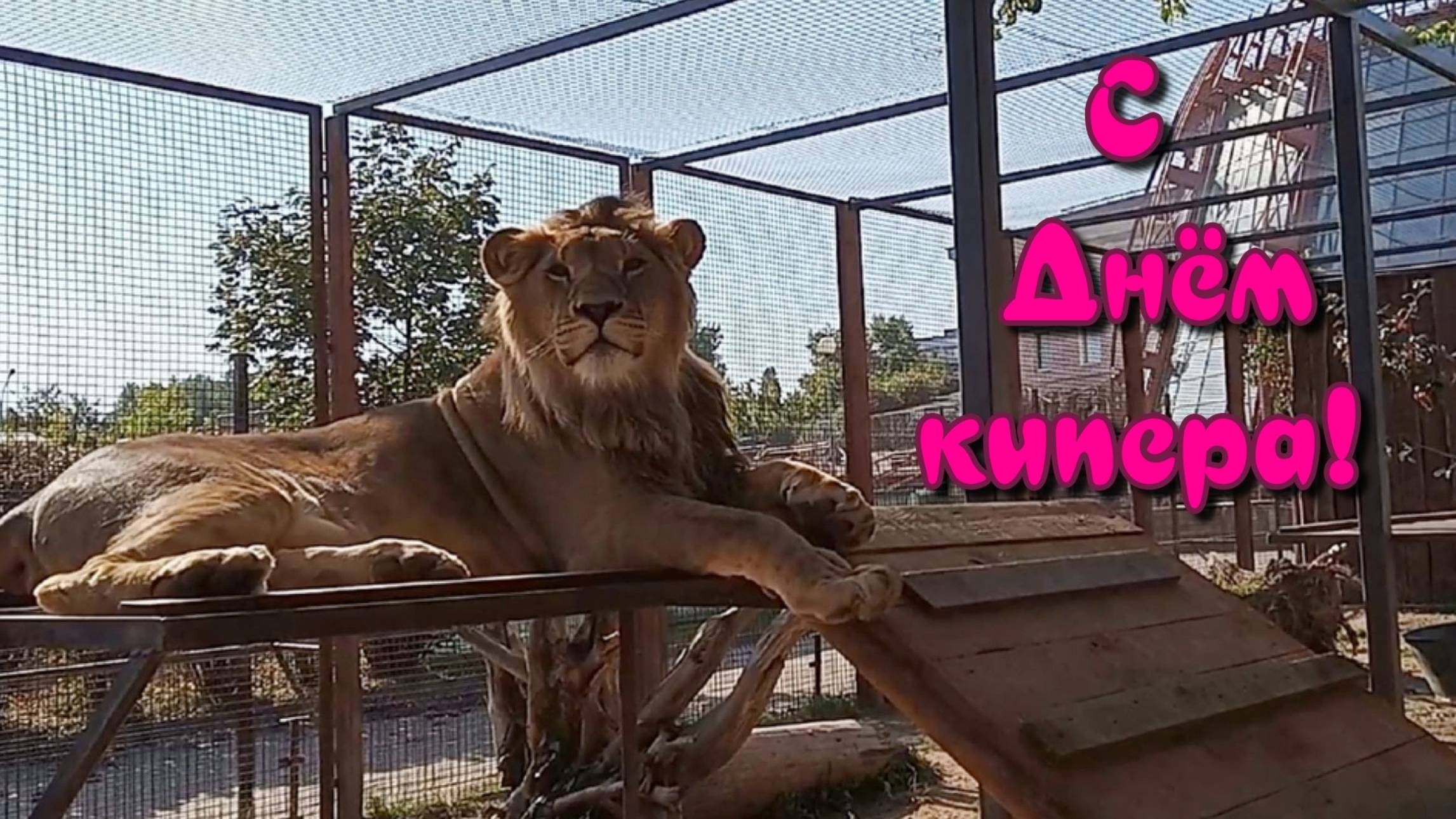 С Днём кипера! смотреть онлайн