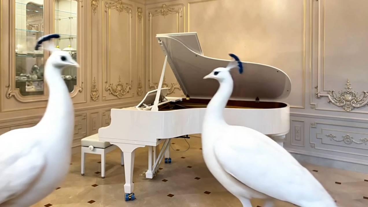 Steinway & Sons B-211 Белый павлин смотреть онлайн