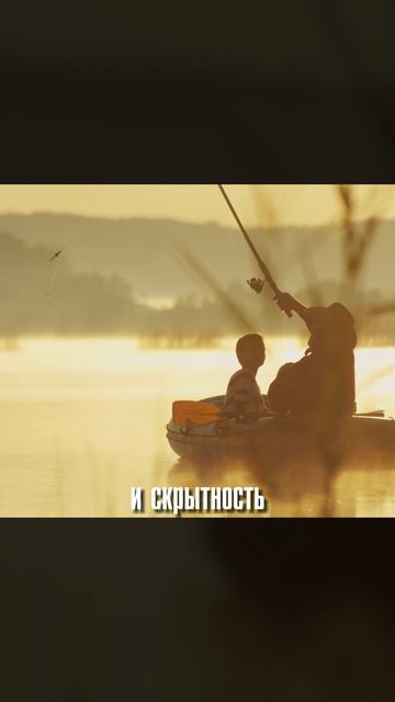 Электро или ДВС: кому что подойдёт? смотреть онлайн