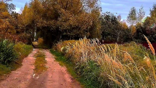 1000097730.mp4"Ольга Уралочка Life": Когда реальность трещит по швам, а фильтры – наше всё! 🔍💼✨ смотреть онлайн