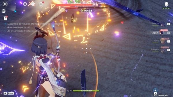 Как пройти данж Райдэн на Эхо фантазии.