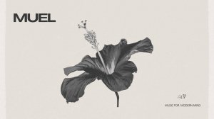 MUEL #01: Morning Glow Mix | Chill Morning Living Room Playlist