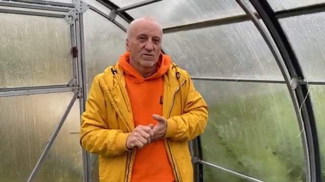 Виноград осенью. подготовка к зиме и не только. смотреть онлайн