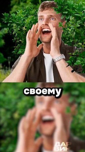 Встретились как-то два гения с луками...