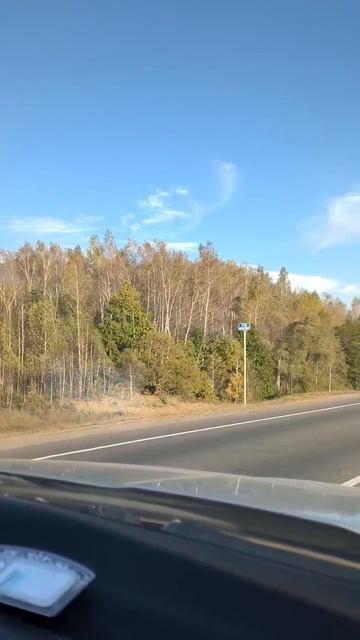 Деревья смотреть онлайн