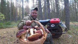ПЕРЕД РЫБАЛКОЙ НАКОСИЛ КОРЗИНУ УРОДЦЕВ! ЗАКРЫТИЕ ГРИБНОГО СЕЗОНА \ С ДНЁМ ГРИБНИКА ТОВАРИЩИ 2025!