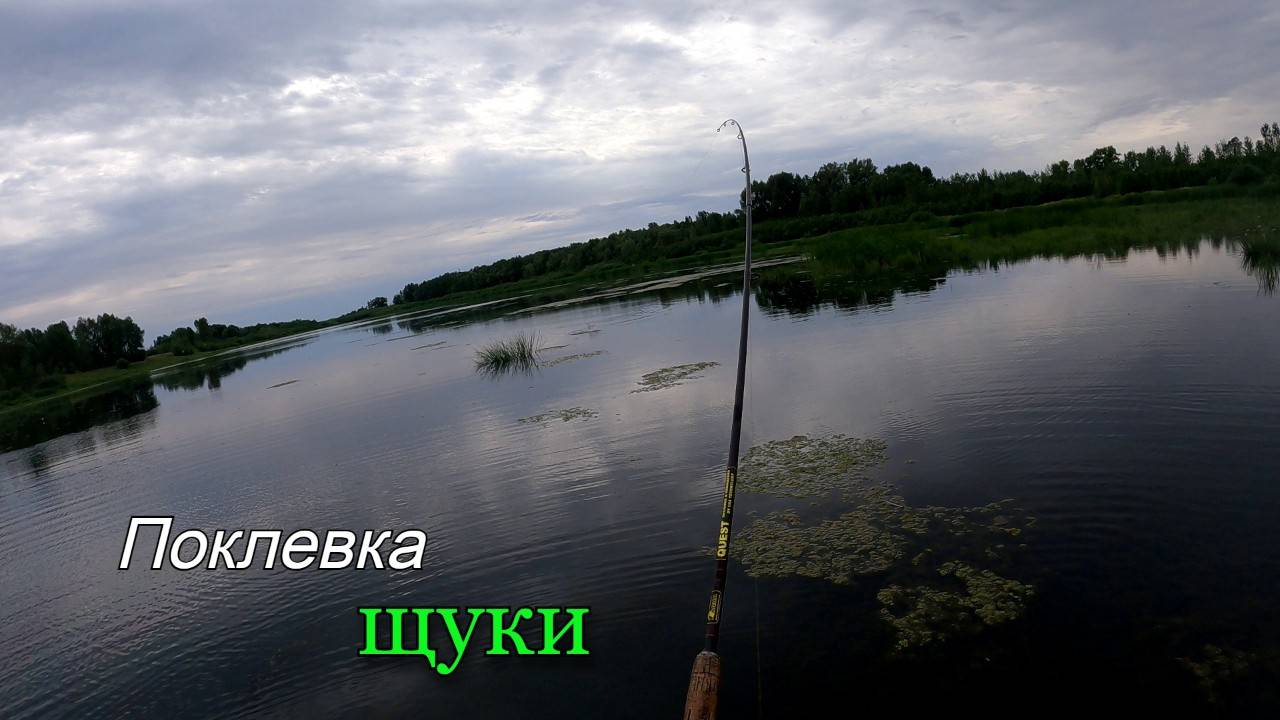 Поклевки щуки на мелководье смотреть онлайн