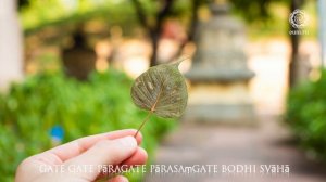 Pragnaparamita Sutra - Gate - Ilona Rebitskaya (Илона Ребицкая)