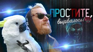 4.10.25 | "Простите, вырвалось!" №264 | Новости