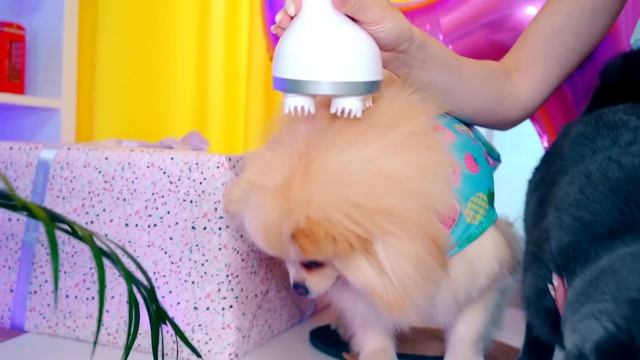 ДЕНЬ РОЖДЕНИЯ КОШЕЧКИ БАТТЕРС - Исполнилось 4 Года! ПОДАРКИ НА ДЕНЬ РОЖДЕНИЯ ! - Секретный Подарок смотреть онлайн