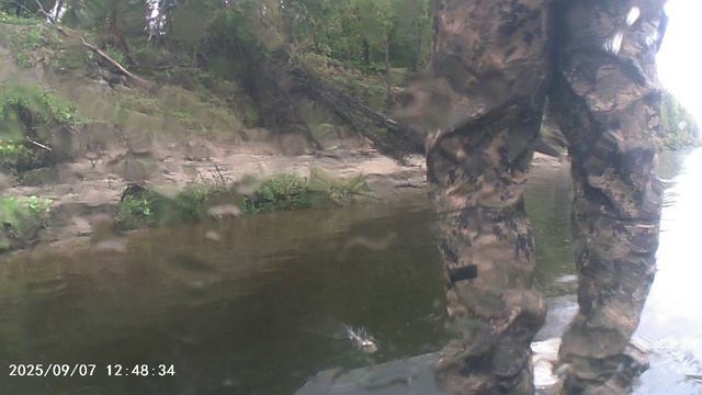 MOV00539 смотреть онлайн