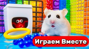 ВМЕСТЕ С УМНЫМ ХОМЯКОМ ВЫБИРАЕМСЯ ИЗ ЛАБИРИНТОВ С ЛОВУШКАМИ 🐹 ВИДЕО ПРО ХОМЯКА ДЛЯ ДЕТЕЙ