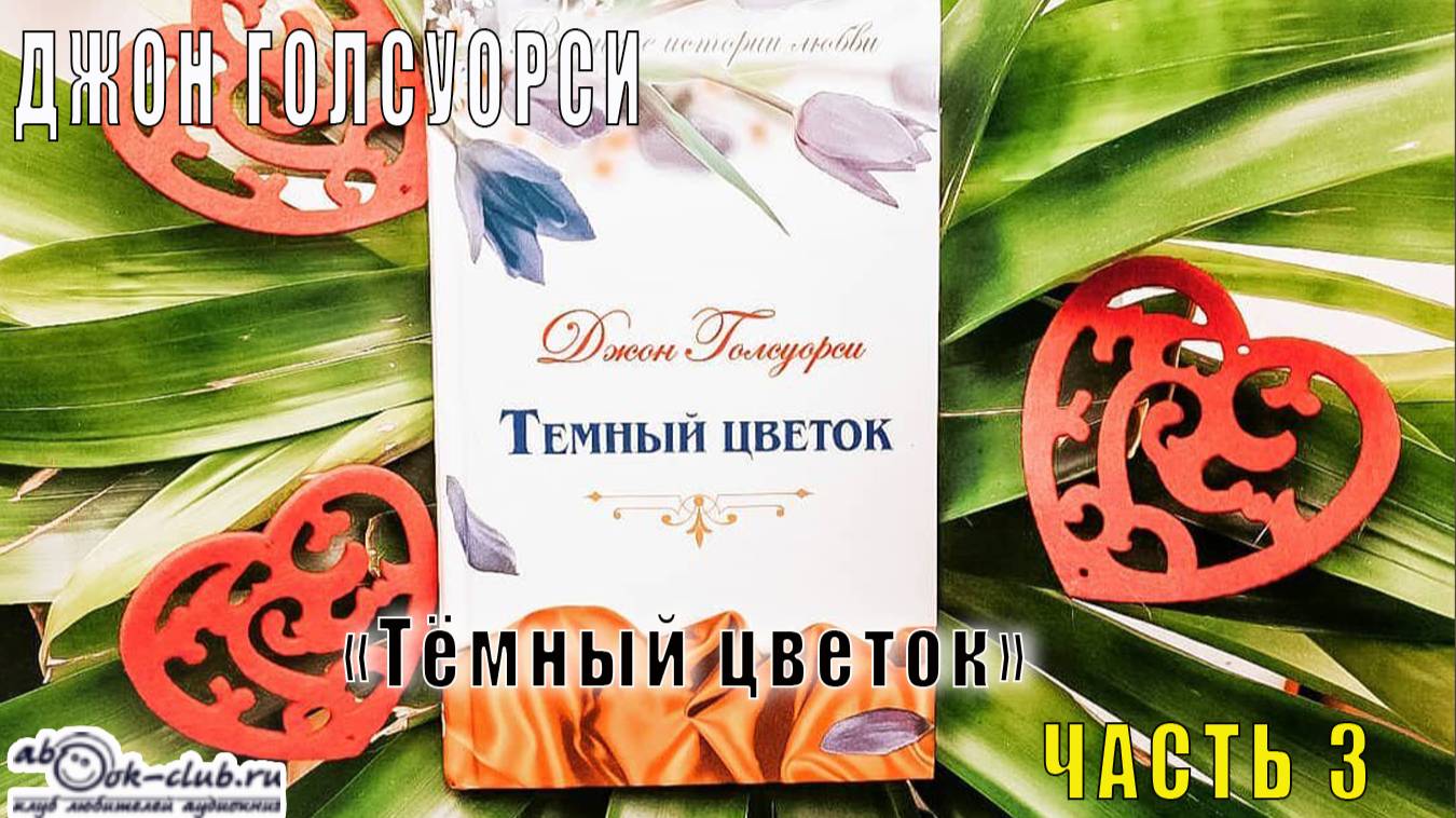 Джон Голсуорси "Тёмный цветок" (часть 3)