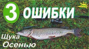 3 ошибки. При ловле Щуки Осенью. Выбор приманок для осенней рыбалки