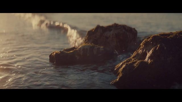 B.O.D.Y. - Who’s The Man (DJ SHABAYOFF rework 2025) смотреть онлайн