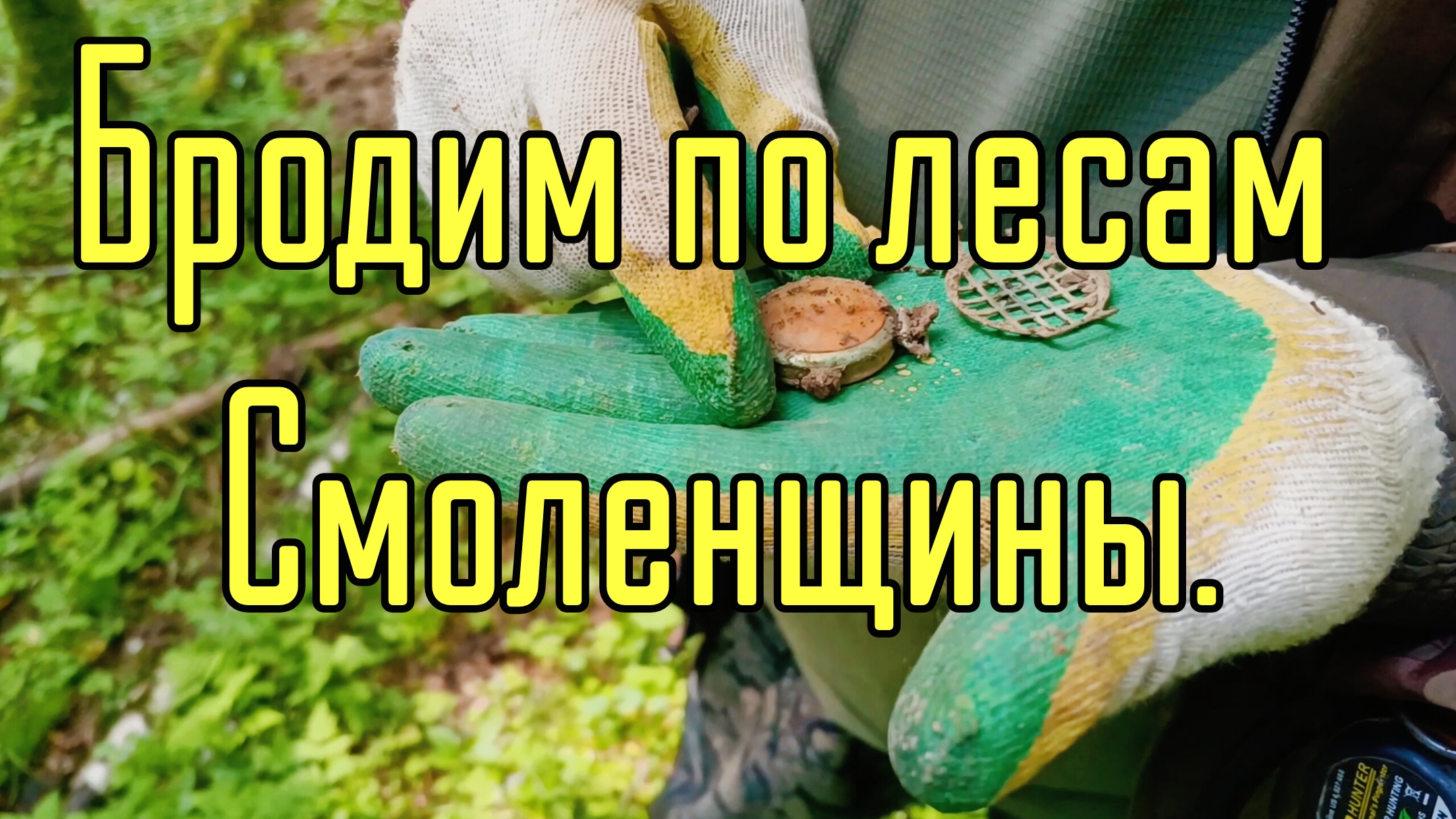 Бродим по лесам Смоленщины. смотреть онлайн