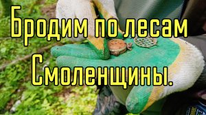 Бродим по лесам Смоленщины.