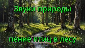 Пение птиц в лесу, природа, лес, птицы