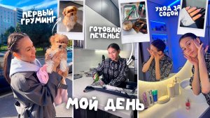 ДЕНЬ без ПРИКРАС / Обычный день из моей жизни