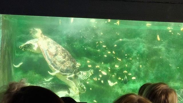 08.2025 Пенза Океанариум  (1)