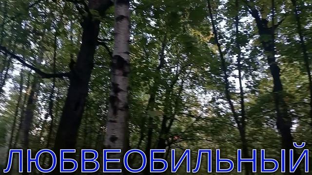 ЛЮБВЕОБИЛЬНЫЙ