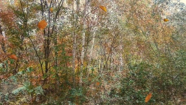 В подворотне осень с ветром танцевала. смотреть онлайн